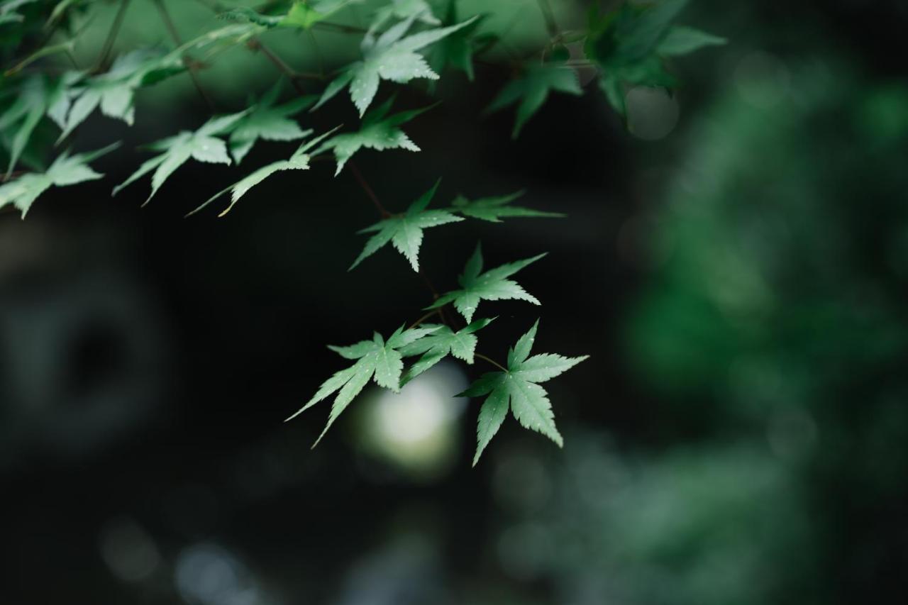Kyoto Nanzenji Ryokan Yachiyo Established In 1915 Εξωτερικό φωτογραφία