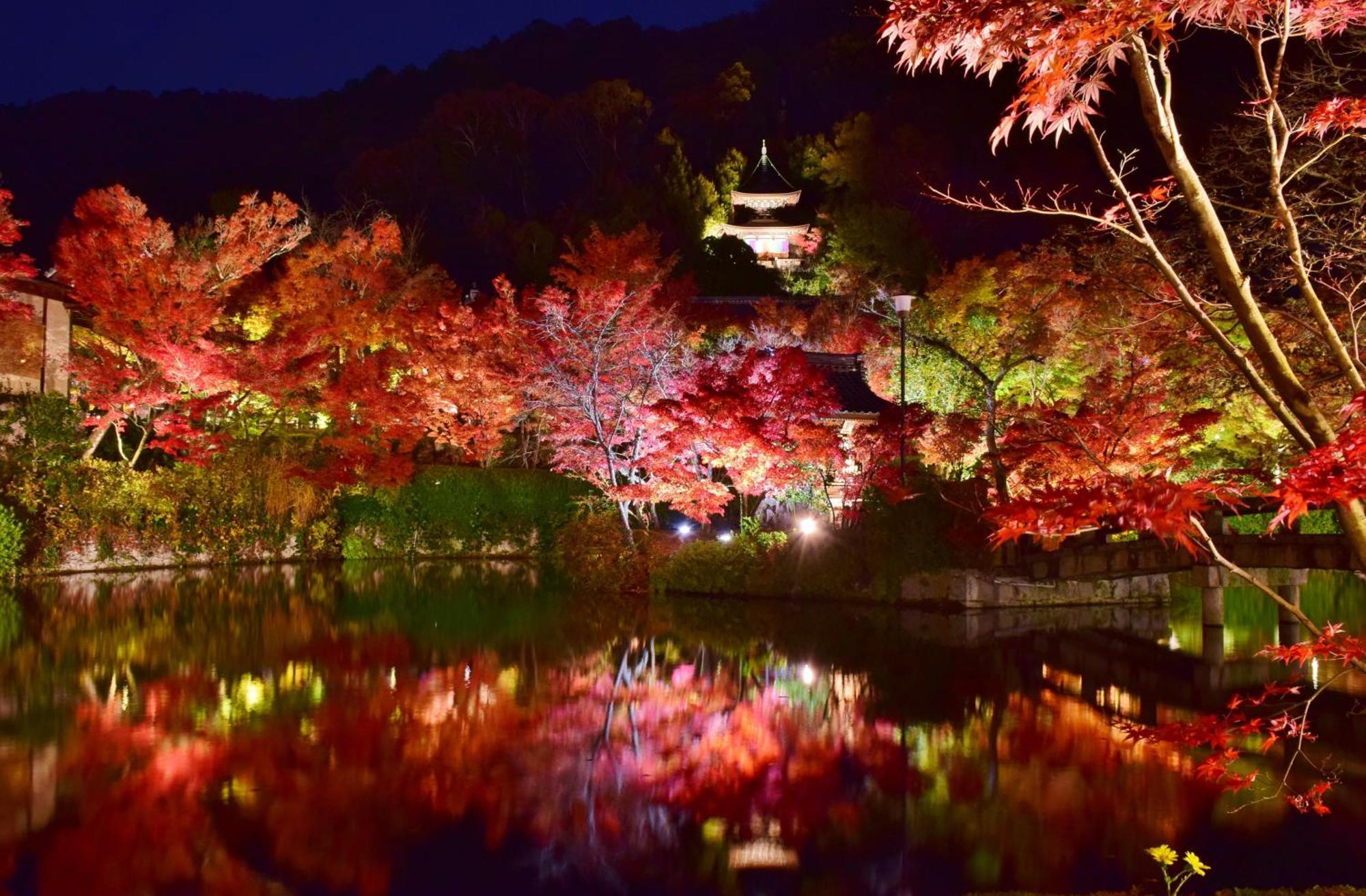 Kyoto Nanzenji Ryokan Yachiyo Established In 1915 Εξωτερικό φωτογραφία